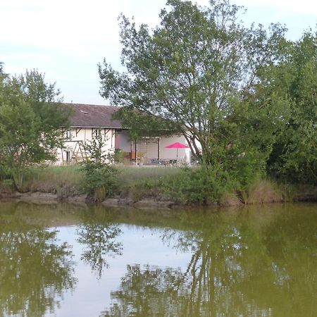Gites Domaine De La Rochere Domsure Zewnętrze zdjęcie
