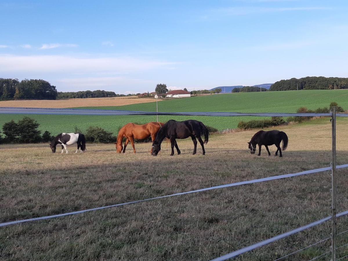 Gites Domaine De La Rochere Domsure Zewnętrze zdjęcie
